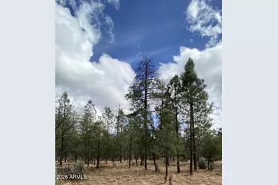 4395 Jack Pine Place #146, Happy Jack, AZ 86024 - Photo 1