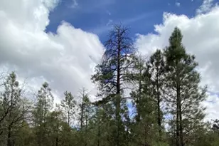 4395 Jack Pine Pl, Happy Jack, AZ 86024 - Photo 1