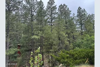17270 Grizzly Ridge Road, Munds Park, AZ 86017 - Photo 3