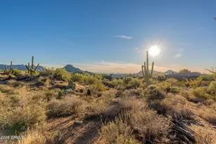 28729 N 107th St, Scottsdale, AZ 85262 - Photo 23