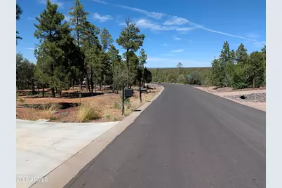1630 S Twin Peak Trail, Show Low, AZ 85901 - Photo 5