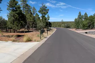 1630 S Twin Peak Trail, Show Low, AZ 85901 - Photo 5