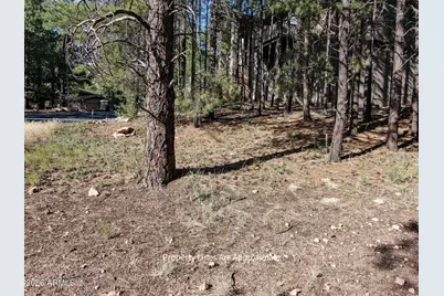 4405 E Dreamy Lane #42, Flagstaff, AZ 86004 - Photo 5