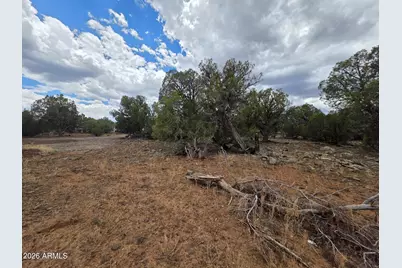 2075 Parker Ranch Road #-, Show Low, AZ 85901 - Photo 7