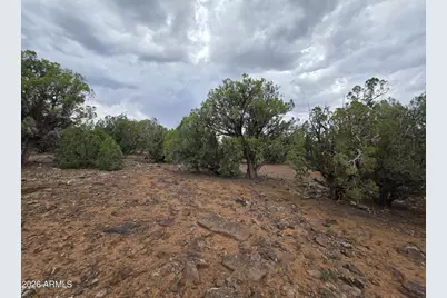 2075 Parker Ranch Road #-, Show Low, AZ 85901 - Photo 11