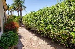 3470 S Camellia Pl, Chandler, AZ 85248 - Photo 29