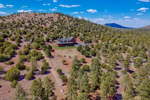 38 N1349, Springerville, AZ 85938 - Photo 85