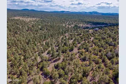 38 N1349 --, Springerville, AZ 85938 - Photo 71