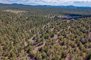 38 N1349, Springerville, AZ 85938 - Photo 71