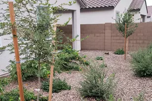 15588 W Williams St, Goodyear, AZ 85338 - Photo 3