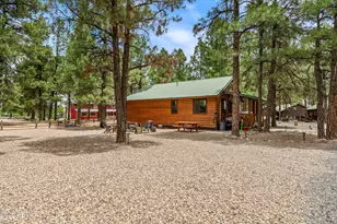 2722 High Pine Loop, Overgaard, AZ 85933 - Photo 23