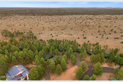 2722 High Pine Loop, Overgaard, AZ 85933 - Photo 27