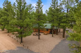 2722 High Pine Loop, Overgaard, AZ 85933 - Photo 3