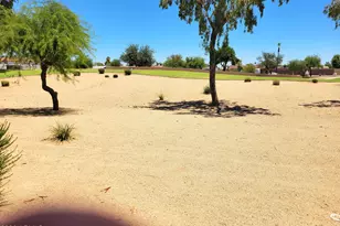 1585 W Tyson St, Chandler, AZ 85224 - Photo 29