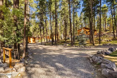 24 County Rd 2267 --, Alpine, AZ 85920 - Photo 43