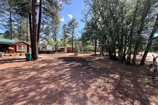 852 Navajo Trail, Show Low, AZ 85901 - Photo 25