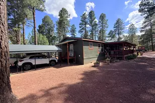 852 Navajo Trail, Show Low, AZ 85901 - Photo 27