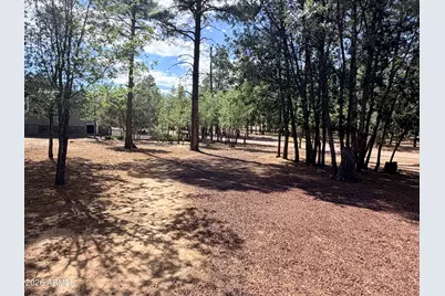 852 Navajo Trail, Show Low, AZ 85901 - Photo 21