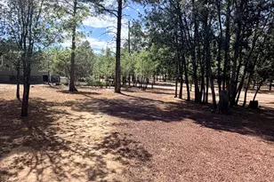 852 Navajo Trail, Show Low, AZ 85901 - Photo 21