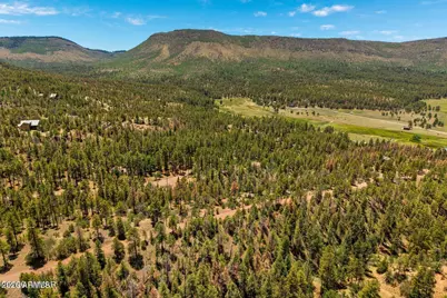 34 County Road 2279 -- #34, Nutrioso, AZ 85932 - Photo 5