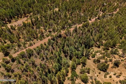 34 County Road 2279 -- #34, Nutrioso, AZ 85932 - Photo 19