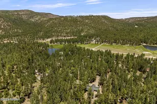 12 County Rd 2044, Alpine, AZ 85920 - Photo 29