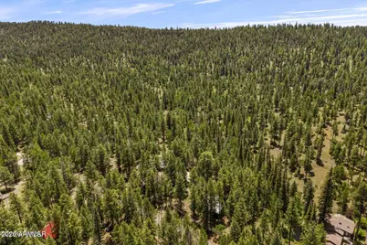 12 County Road 2044 --, Alpine, AZ 85920 - Photo 27