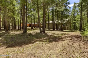 12 County Rd 2044, Alpine, AZ 85920 - Photo 23