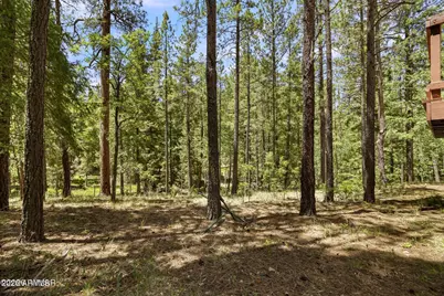 12 County Road 2044 --, Alpine, AZ 85920 - Photo 5