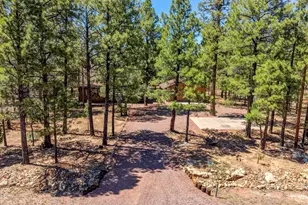 4170 Apache Dr, Happy Jack, AZ 86024 - Photo 37