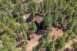 4170 Apache Dr, Happy Jack, AZ 86024 - Photo 41