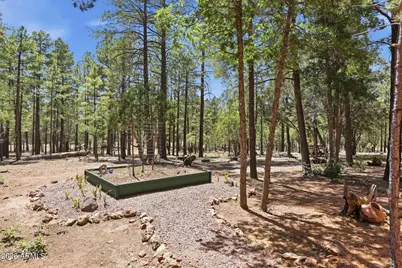 4170 Apache Drive, Happy Jack, AZ 86024 - Photo 39