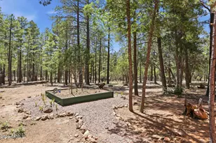4170 Apache Dr, Happy Jack, AZ 86024 - Photo 39