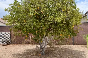 19802 N 32nd St, Phoenix, AZ 85050 - Photo 23