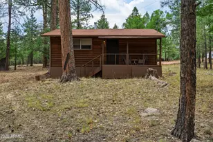 2100 Antelope Wy, Happy Jack, AZ 86024 - Photo 3