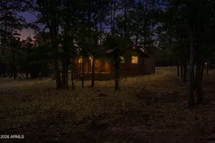 2100 Antelope Wy, Happy Jack, AZ 86024 - Photo 21