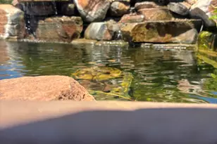 70 Via Del Viento --, Sedona, AZ 86351 - Photo 17