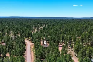 856 Coconino Loop, Happy Jack, AZ 86024 - Photo 51