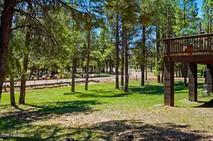 856 Coconino Loop, Happy Jack, AZ 86024 - Photo 39