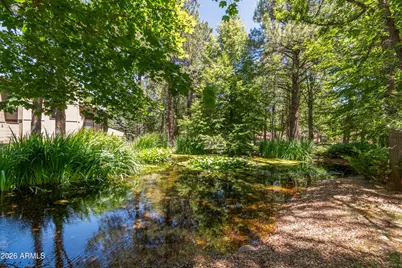 3744 Crown Dancer Drive, Pinetop, AZ 85935 - Photo 43