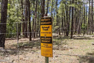 Tbd E Sawmill Drive #-, Pinetop, AZ 85935 - Photo 3