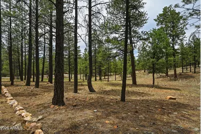 2799 Cherokee Way #381, Happy Jack, AZ 86024 - Photo 13