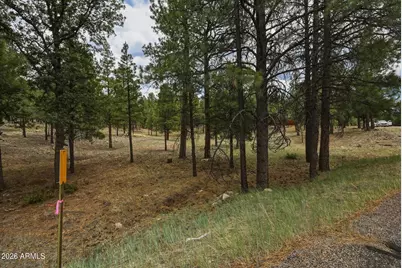2799 Cherokee Way #381, Happy Jack, AZ 86024 - Photo 15