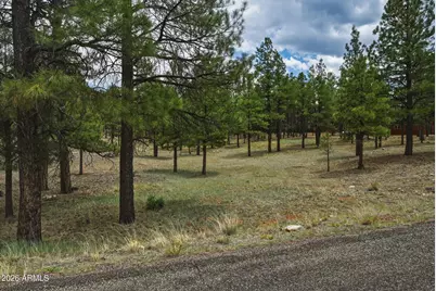 2799 Cherokee Way #381, Happy Jack, AZ 86024 - Photo 1
