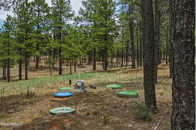 2799 Cherokee Way #381, Happy Jack, AZ 86024 - Photo 5