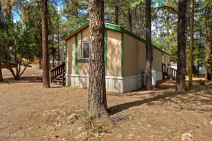 2175 Ruby Ln, Overgaard, AZ 85933 - Photo 3