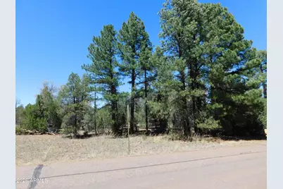 3100 Pinewood Drive #083B, Overgaard, AZ 85933 - Photo 3