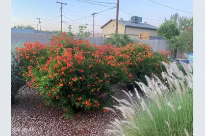 18 E Garfield Street, Tempe, AZ 85288 - Photo 31