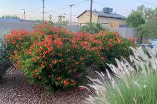 18 E Garfield St, Tempe, AZ 85288 - Photo 31