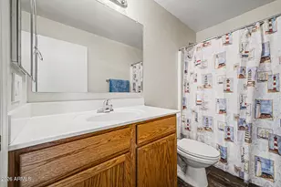 29260 N Red Finch Dr, San Tan Valley, AZ 85143 - Photo 19